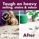 Pet Carpet Cleaner Shampoo Solution, For Urine, Odour & Stains (5L & 1L Sizes)