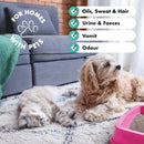 Pet Carpet Cleaner Shampoo Solution, For Urine, Odour & Stains (5L & 1L Sizes)