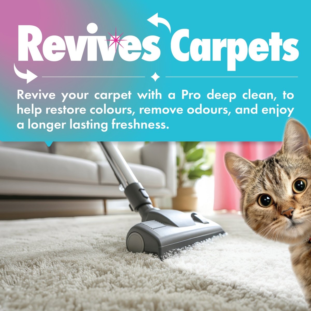 Carpet Shampoo The Best Pet Urine Remover Pet Urine Best Dog Stain Carpet  Cleaner Urine Remover Enzyme