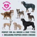 Pet Pro Dog Flea Shampoo (2L)