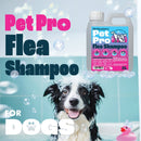 Pet Pro Dog Flea Shampoo (2L)