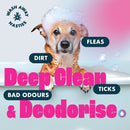 Pet Pro Dog Flea Shampoo (2L)