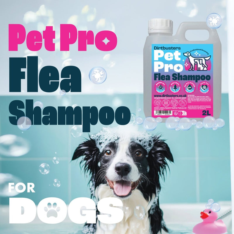 Pet Pro Dog Flea Shampoo (2L) - dirtbusters.co.uk