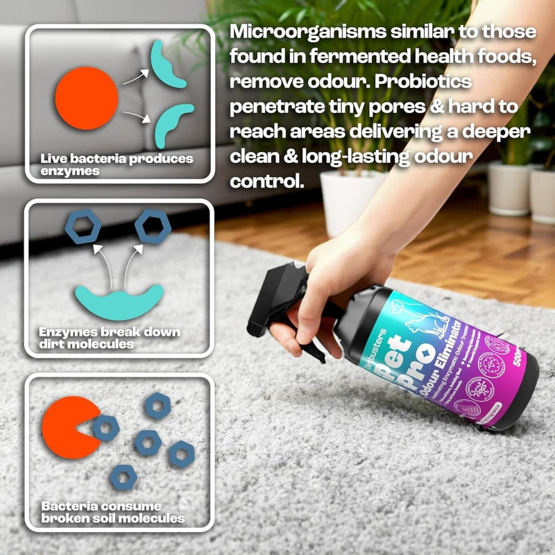 Pet Pro Odour Eliminator, Dog & Cat Urine Neutraliser, Carpet & Upholstery Reactivating Enzymatic Deodoriser Treatment Spray, Fig (500ml) - dirtbusters.co.uk
