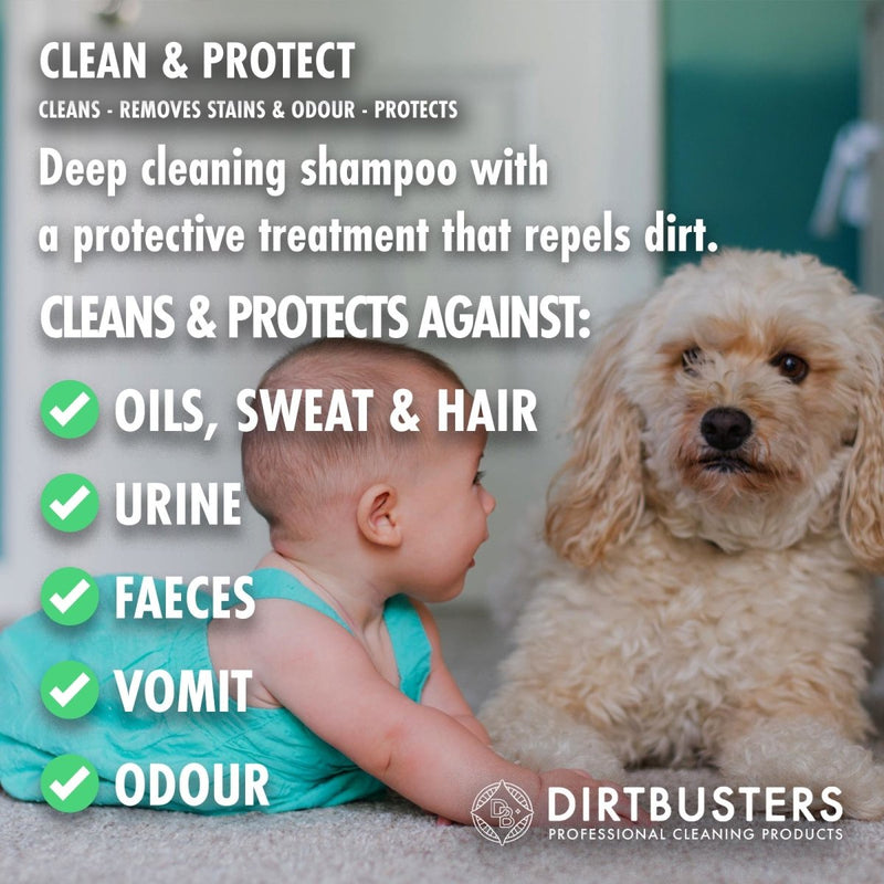 Clean & Protect 4-in-1 Carpet Cleaner Solution (5L) - dirtbusters.co.uk