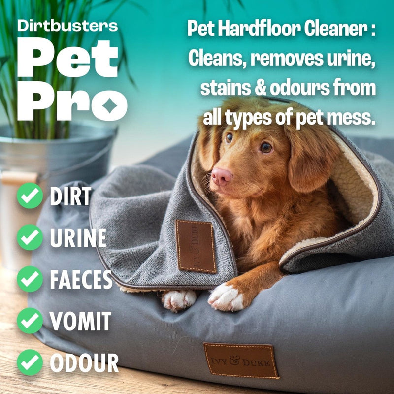 Dirtbusters Pet Pro Multi Surface Floor Cleaner Solution With Deodoriser, Pet Stain & Odour Remover For Hard Floor Cleaning Machines & Mop (5L) - dirtbusters.co.uk
