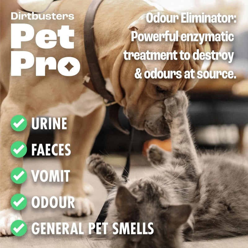 Dirtbusters Pet Pro Odour Eliminator, Dog & Cat Urine Neutraliser, Carpet & Upholstery Reactivating Enzymatic Deodoriser Treatment Spray, Fig (500ml) - dirtbusters.co.uk