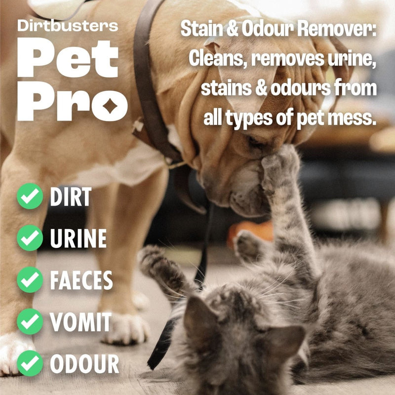 Dirtbusters Pet Pro Stain & Odour Remover Spray, Powerful Professional Enzymatic Cleaner For Carpet, Upholstery & Fabrics (750ml) - dirtbusters.co.uk