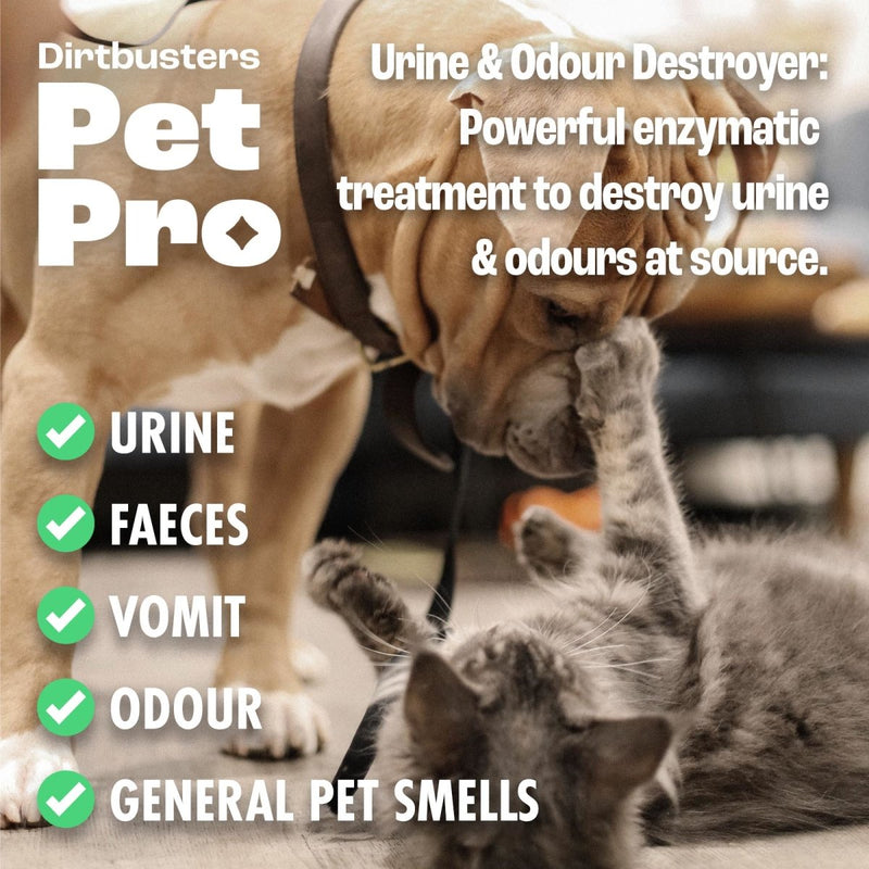 Dirtbusters Pet Pro Urine & Odour Destroyer Enzyme Cleaner For Carpet & Upholstery, Neautralise & Remove Pet, Dog & Cat Odours At Source, With Reactivating Enzymatic Treatment (1L) - dirtbusters.co.uk