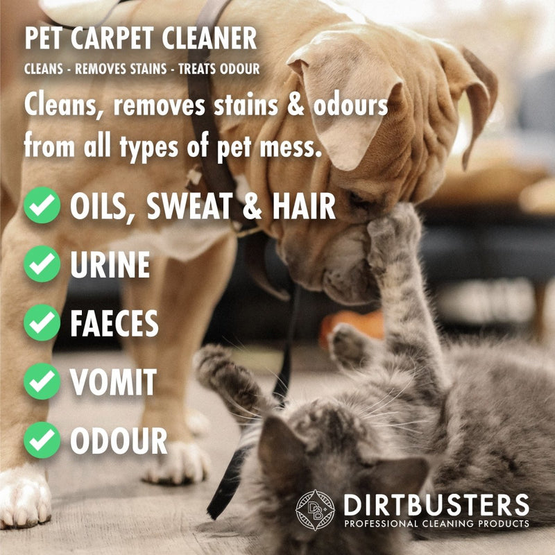 Pet Carpet Cleaner Shampoo Solution, For Odour & Stains (5L) - dirtbusters.co.uk
