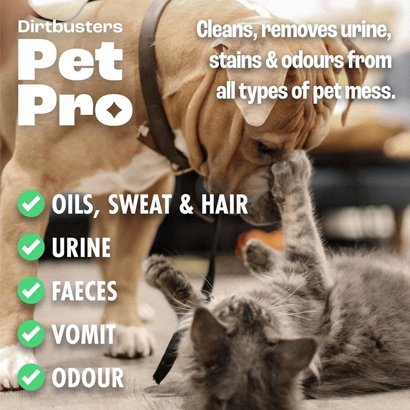 Pet Pro Carpet Cleaner Shampoo, Cleaning Solution to Remove Dog & Cat Urine, Odour & Stain, Summer Fresh (1L) - dirtbusters.co.uk
